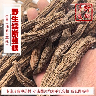 寻野实拍 药材 野生续断整根 片发汗完整整条切段 产四川西昌