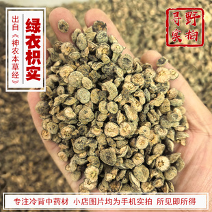 寻野实拍 中药材绿衣枳实 枸橘枳实 经方中的枳实 真正的枳实