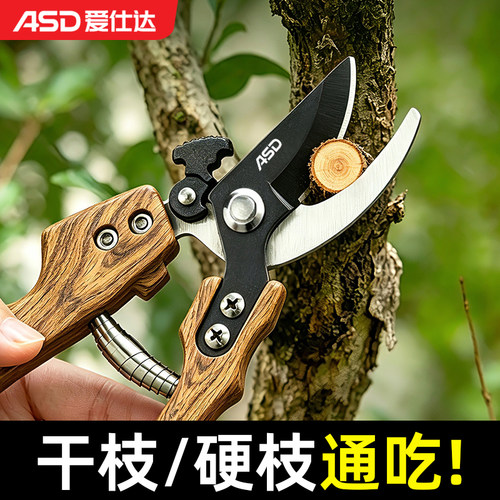爱仕达SK5树枝剪强力修枝剪果树盆栽花枝花卉修剪神器园艺刀剪子