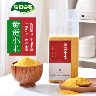 新米黄贡小米米油丰厚内蒙赤峰敖汉旗五谷杂粮优质黄小米粥饭