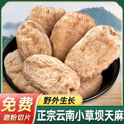 改价云南昭通特产小草坝深山野外自然生长乌天麻干货食用天麻