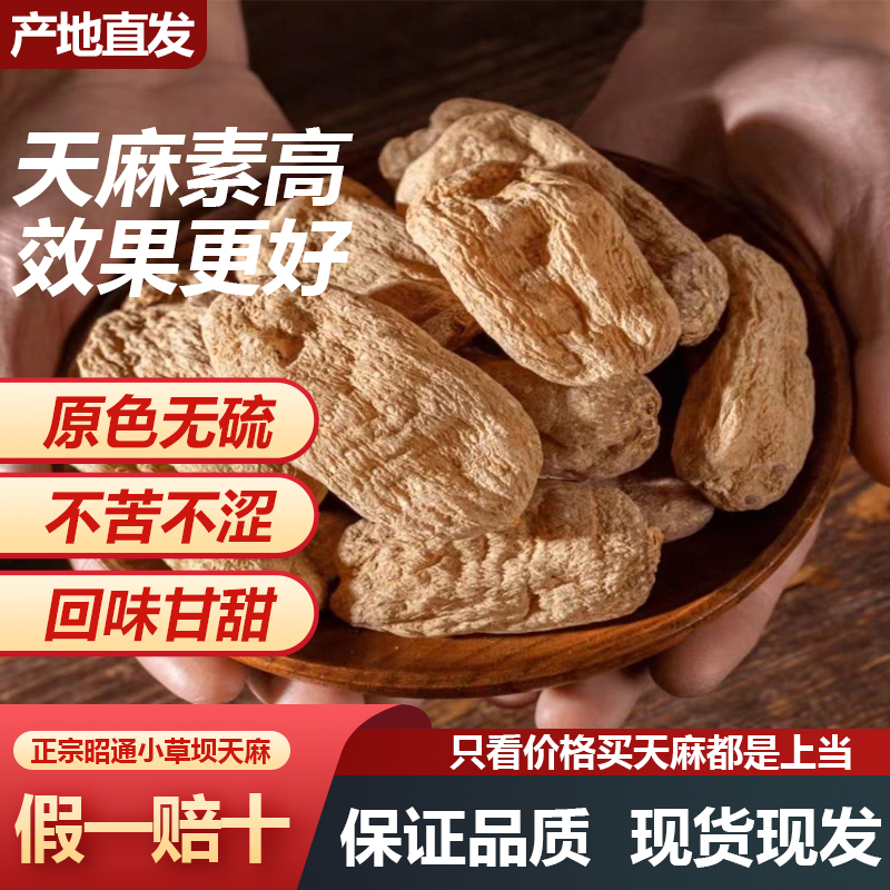 大果天麻正宗云南昭通小草坝乌天麻天麻素含量高林下仿野生天麻