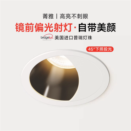 美颜射灯双偏光镜前全光谱普瑞