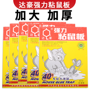 捕鼠器粘鼠胶 达豪粘鼠板强力老鼠贴抓粘大老鼠家用正品