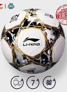 李宁足球官方小学生专用球儿童四号五号专业比赛4号5号球中考礼物