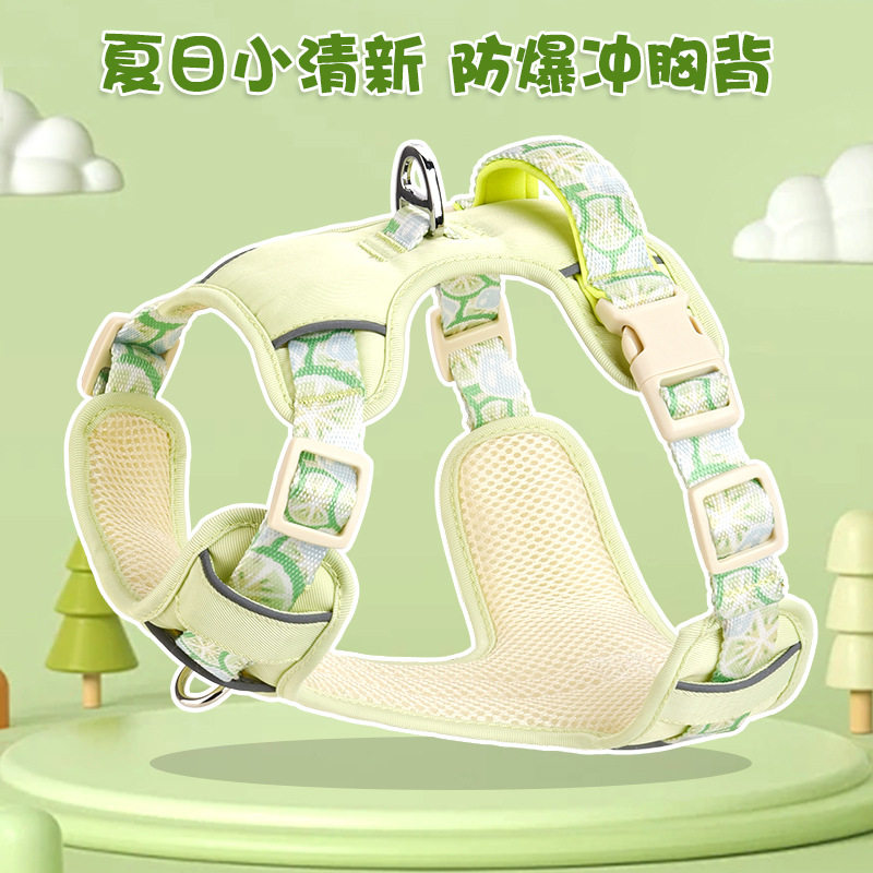 狗狗牵引绳夏季背心式宠物背带透气狗绳大中小型犬胸背柯基外出链