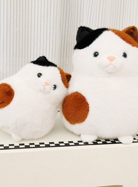 新品安抚猫球毛绒公仔可爱福气猫抱枕儿童陪伴玩偶家居装饰跨境