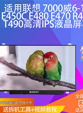 适用联想 7000威6-14 E450C E480 E470 R480 T490高清IPS液晶屏幕