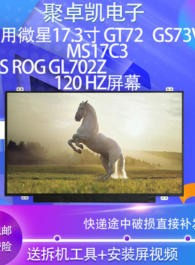适用微星17.3寸1799GT72 GS73VR MS17C3ASUSROG GL702Z120 HZ屏幕