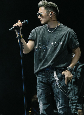 谢霆锋演唱会同款T恤进化Evolution2025短袖男女夏季银光水洗做旧