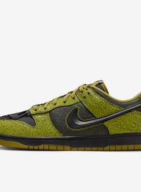 NIKE耐克男女鞋  Dunk Low潮流时尚复古休闲板鞋HV6103-300