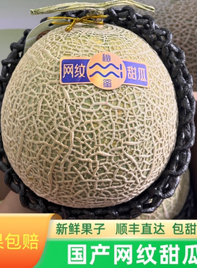 网纹蜜瓜礼盒装日本静冈品种