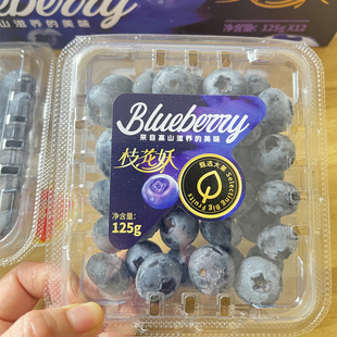 现货当季 枝花妖L25纯脆甜花香蓝莓新鲜水果高端精品大凉山发顺丰