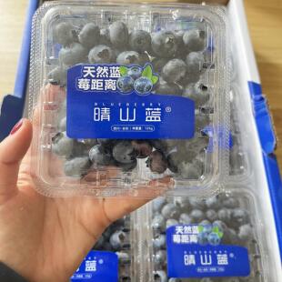 脆甜花香当季现货晴山蓝L25蓝莓带浓浓花香花青素发顺丰快递