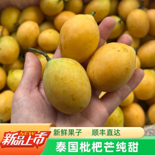 现货新品种当季泰国枇杷芒1-4斤装迷你小芒果纯甜新鲜水果发顺丰