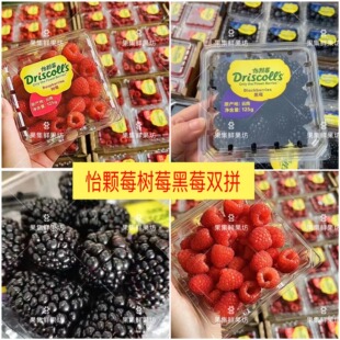 当季 新鲜怡颗树莓黑莓带酸双拼网红覆盆子鲜果孕妇水果发顺丰