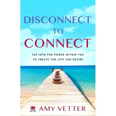 预订 Disconnect to Connect: Tap into the Power within You to Create the Life You Desire: 9781632996794