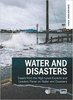 【预售】Water and Disasters: Cases from the High Level Experts and Leaders Panel on Water and Disasters