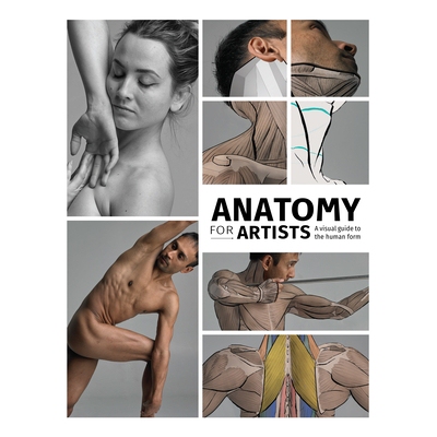 预订 Anatomy for Artists: A visual guide 艺术家解剖：视觉指南: 9781912843107