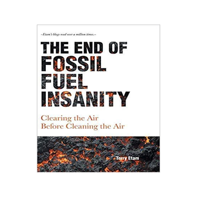 [预订]The End of Fossil Fuel Insanity: Clearing the Air Before Cleaning the Air 9781525540240