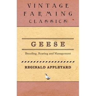 and 预订 Rearing Breeding Management Geese