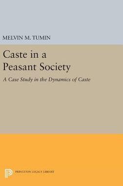 【预订】Caste in a Peasant Society