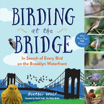 预订 Birding at the Bridge: In Search of Every Bird on the Brooklyn Waterfront 桥上观鸟：寻找布鲁克林海滨的每一只鸟: 978