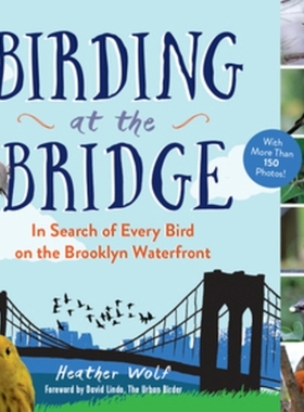 预订 Birding at the Bridge: In Search of Every Bird on the Brooklyn Waterfront 桥上观鸟：寻找布鲁克林海滨的每一只鸟: 978