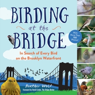 Waterfront Bridge 预订 Brooklyn 桥上观鸟：寻找布鲁克林海滨 the Bird Every 978 每一只鸟 Search Birding