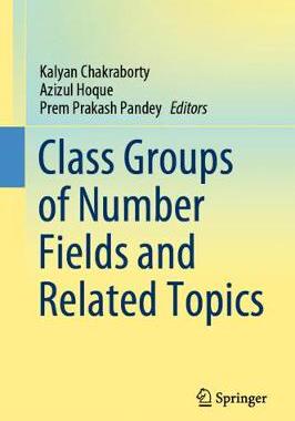 【预订】Class Groups of Number Fields and Related Topics