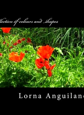 预订 A collection of colours and shapes: Flowers from around the world: 9781502545312