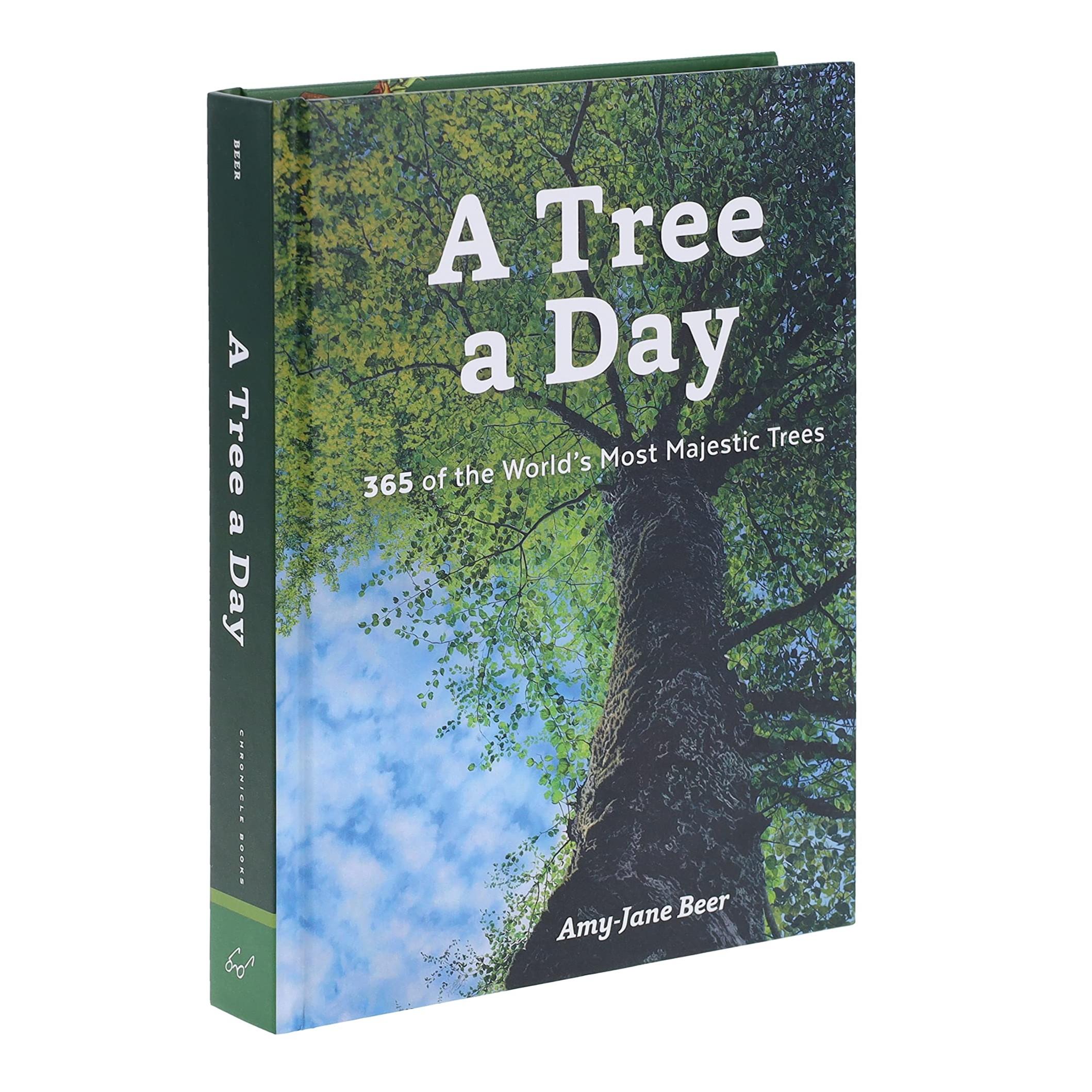 一天一树 A Tree a Day 英文原版 Amy-Jane Beer 自然摄影集 植物学知识 自然树木爱好者