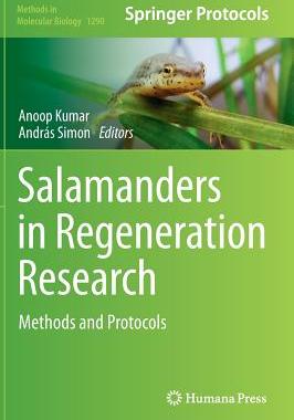 预订 Salamanders in Regeneration Research