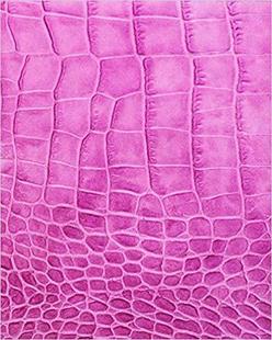 【预售】Chemotherapy Journal: Chemo Treatmen...