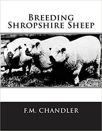 【预售】Breeding Shropshire Sheep