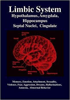 【预售】Limbic System: Amygdala, Hypothalamu...