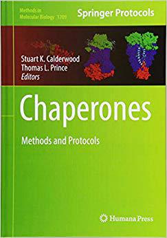 【预售】Chaperones