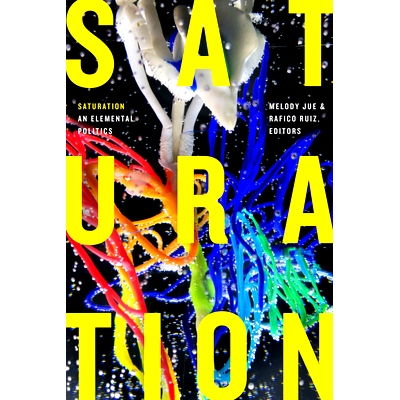 预订 Saturation: An Elemental Politics 饱和：基本政治: 9781478009740