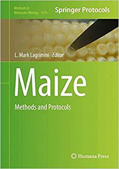 【预售】Maize