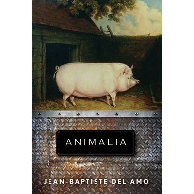 预订 Animalia: A Novel 动物界：小说: 9780802149404