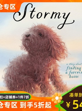 暴风雨 寻找一个永远的家 郭婧 精装绘本 英文原版 Stormy: A Story About Finding a Forever Home 独生小孩作者