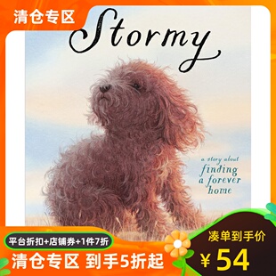 暴风雨 寻找一个永远的家 郭婧 精装绘本 英文原版 Stormy: A Story About Finding a Forever Home 独生小孩作者