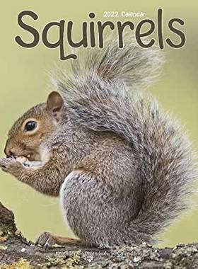 【预订】Squirrels 2022 Wall Calendar 9781839412790