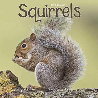 【预订】Squirrels 2022 Wall Calendar 9781839412790