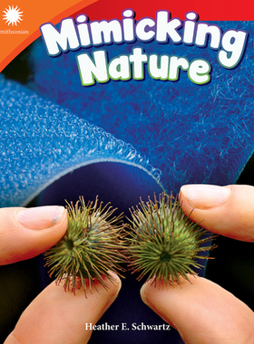 【预订】Mimicking Nature