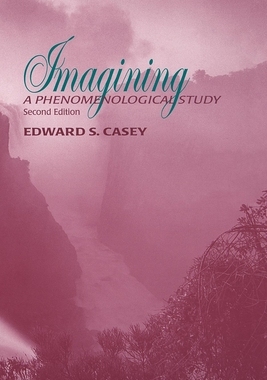 预订 Imagining: A Phenomenological Study