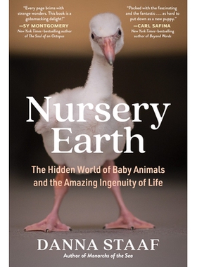 预订 Nursery Earth: The Hidden World of Baby Animals and the Amazing Ingenuity of Life 托儿所地球：婴儿动物的隐藏世界和