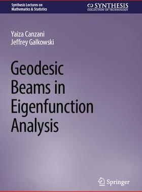 [预订]Geodesic Beams in Eigenfunction Analysis 9783031315855