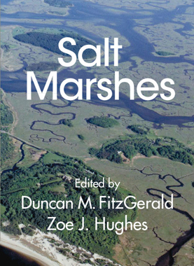 【预订】Salt Marshes