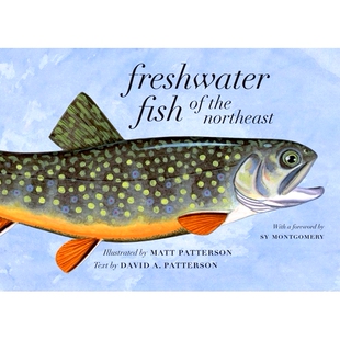 预订 Freshwater Fish of the Northeast 东北淡水鱼: 9781684582167